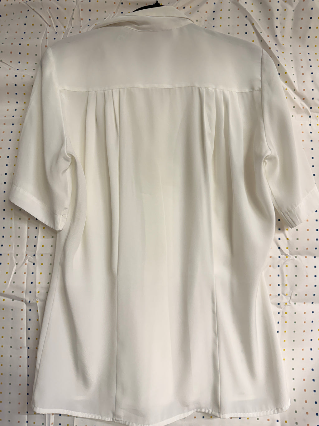 Westbound Button Front Blouse (Size 6)