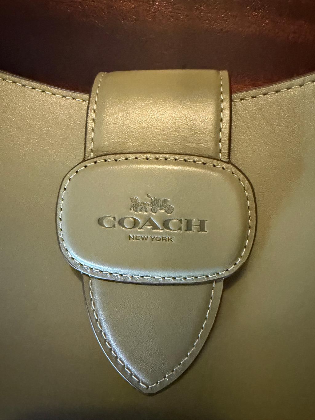 Coach Olive Green Leather Shoulder Bag Genuine Leather Minimalist Designer Purse Style C1353