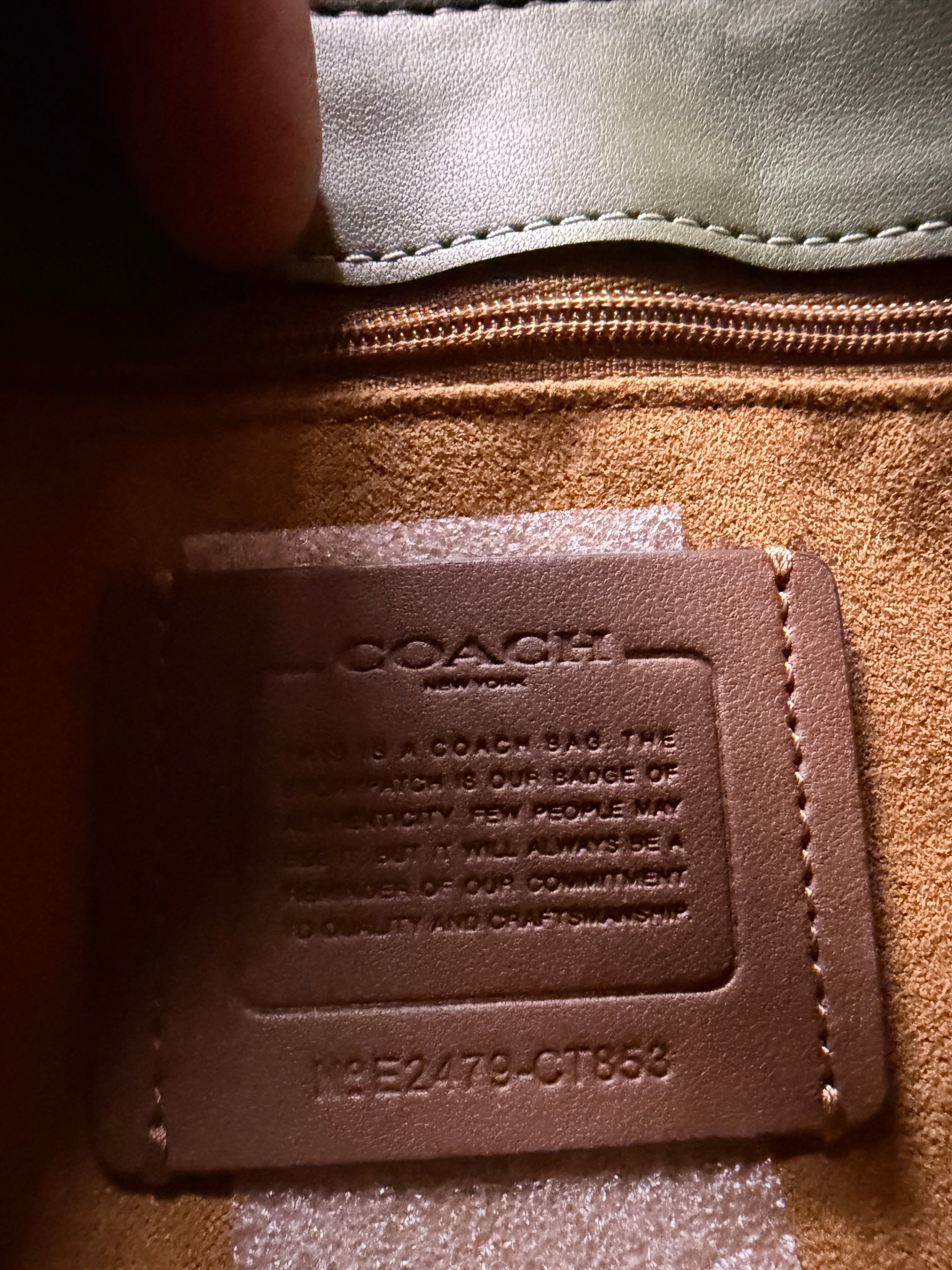 Coach Olive Green Leather Shoulder Bag Genuine Leather Minimalist Designer Purse Style C1353