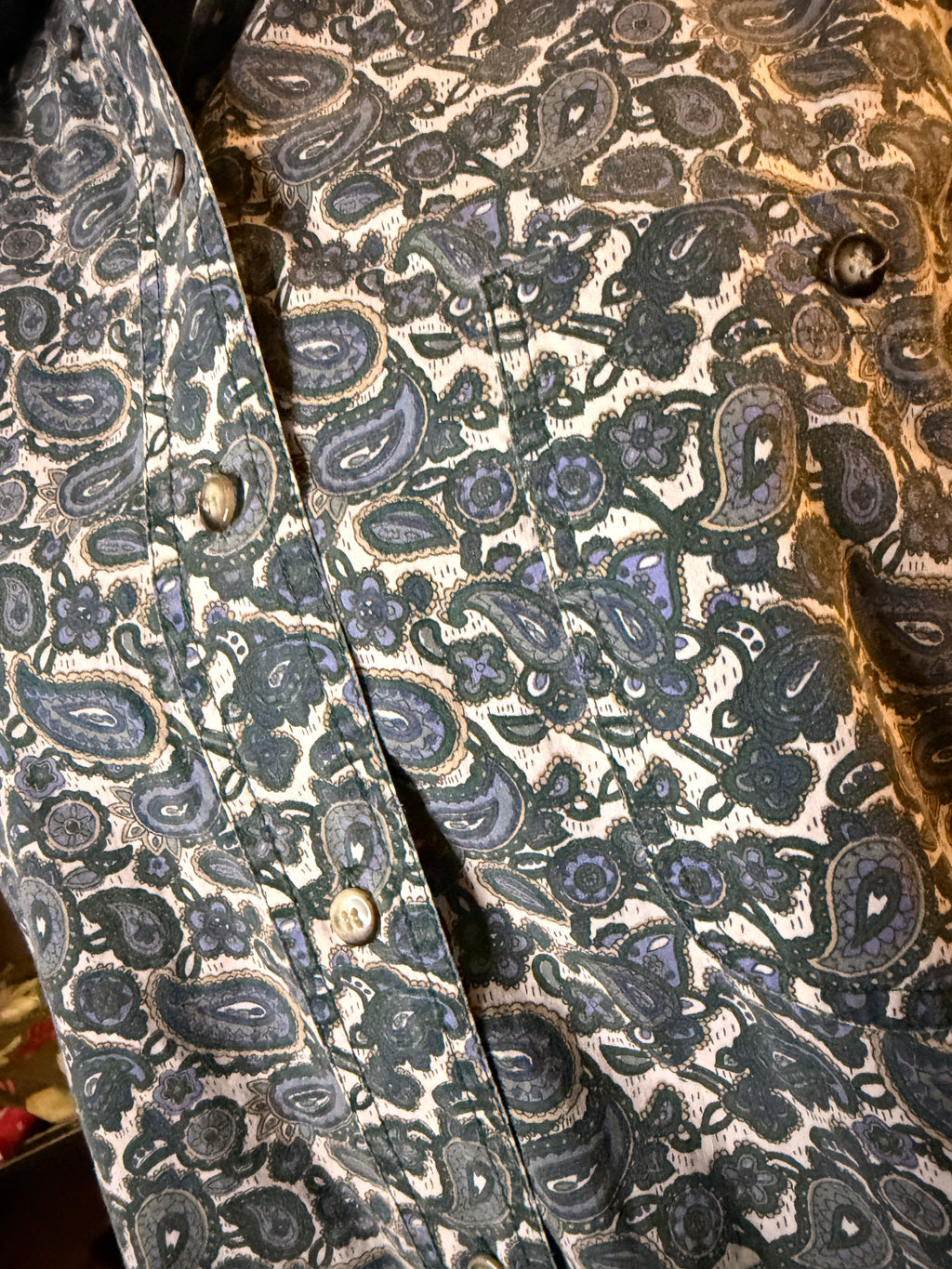 Vintage Red Rover Paisley Button Up Shirt Medium Blue Green Cotton Western