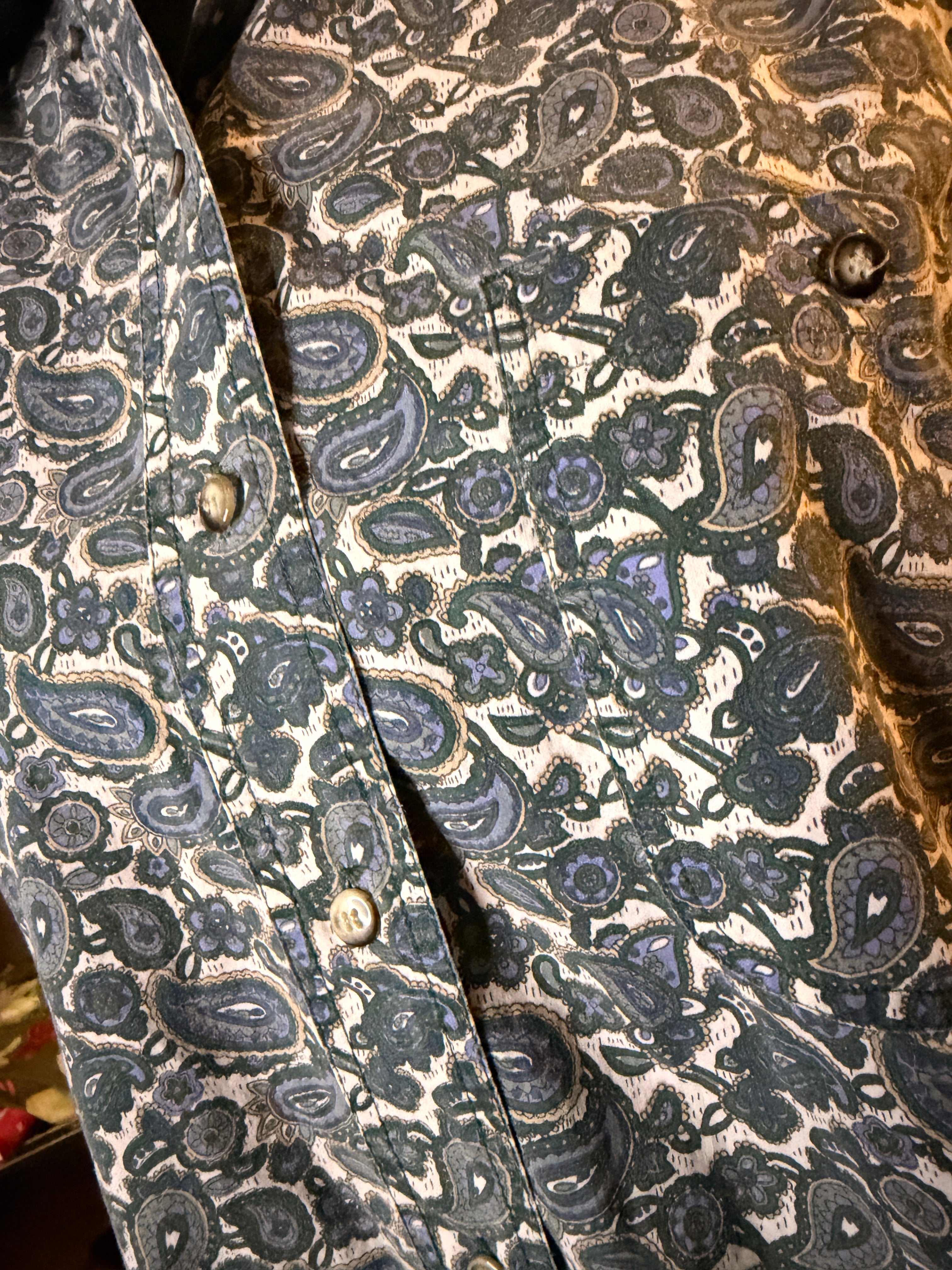 Vintage Red Rover Paisley Button Up Shirt Medium Blue Green Cotton Western