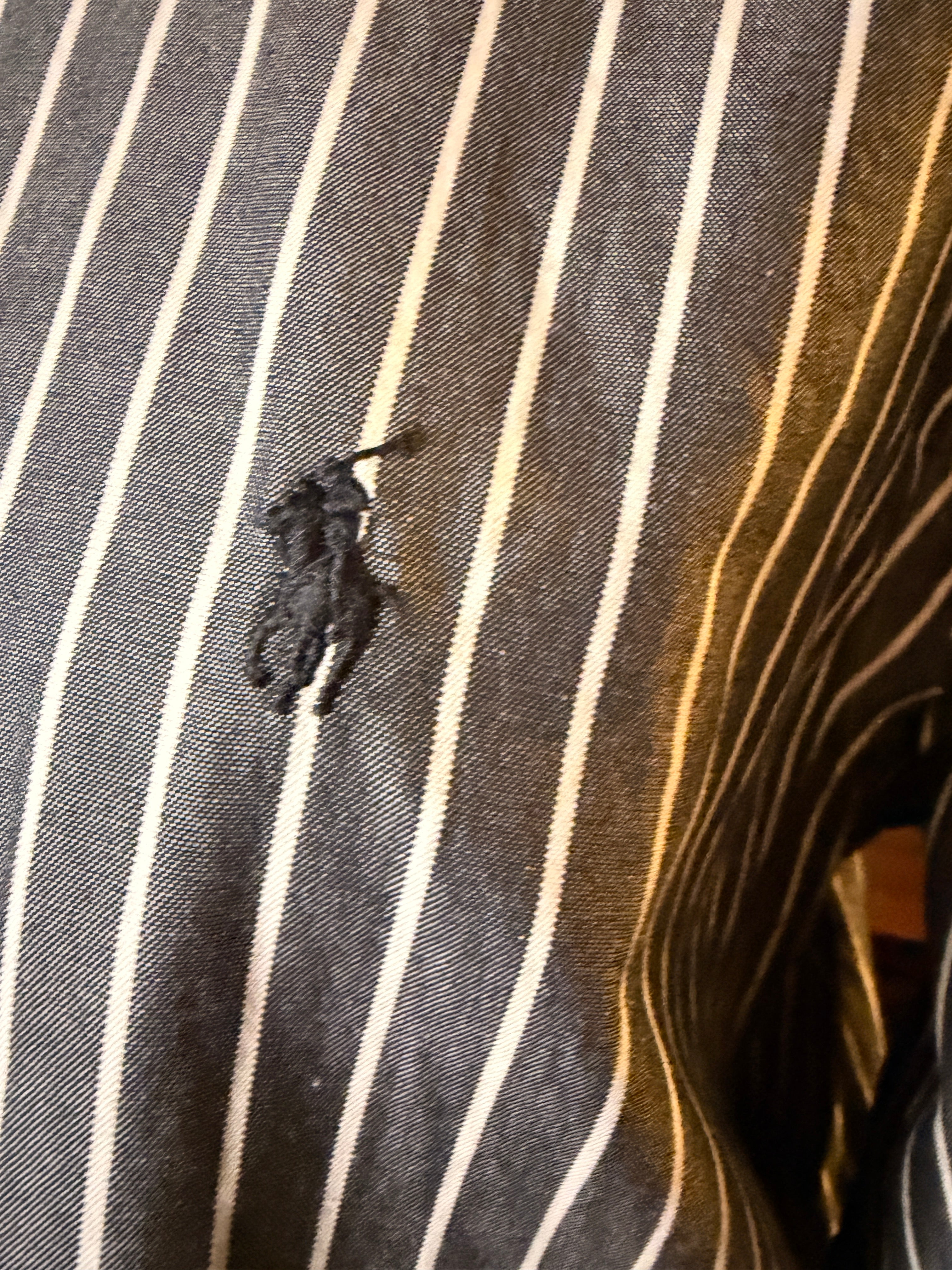 Vintage Ralph Lauren Yarmouth Pinpoint Oxford Shirt 15.5-34 Gray White Stripe Button Down
